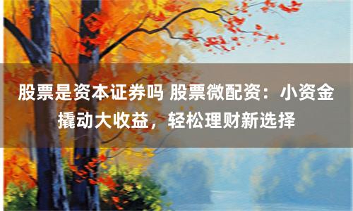 股票是资本证券吗 股票微配资：小资金撬动大收益，轻松理财新选择