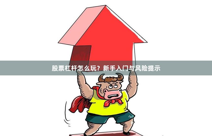 股票杠杆怎么玩？新手入门与风险提示