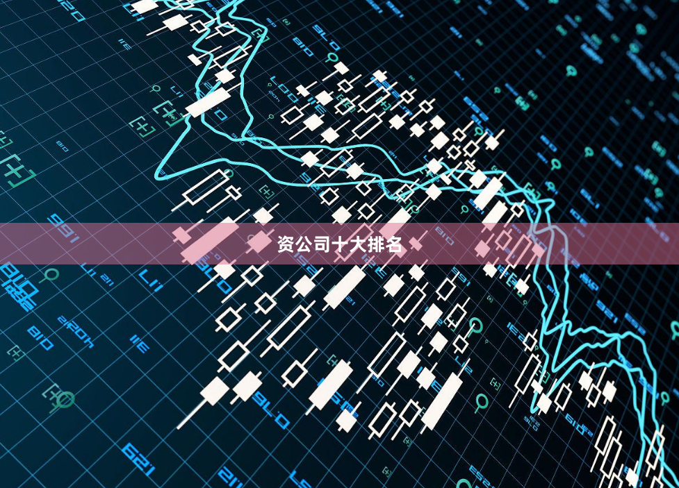 资公司十大排名